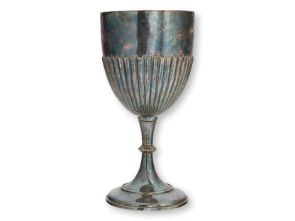 1894 English Horticultural Society Trophy Cup