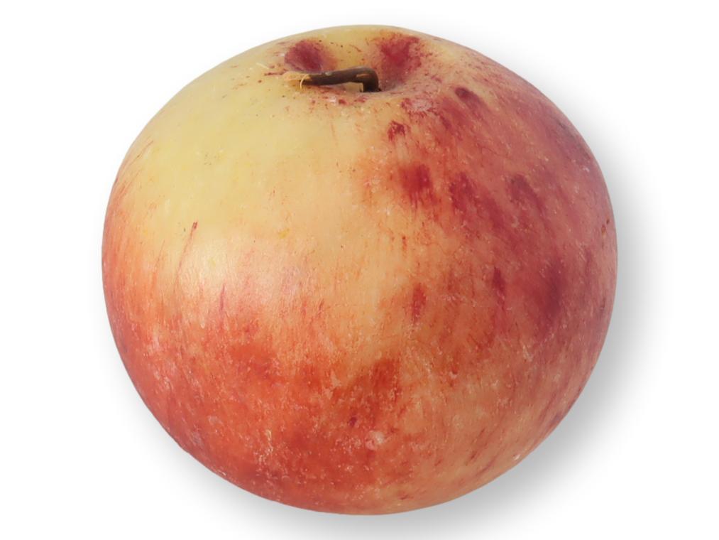 Italian Alabaster / Stone Fruit Apple