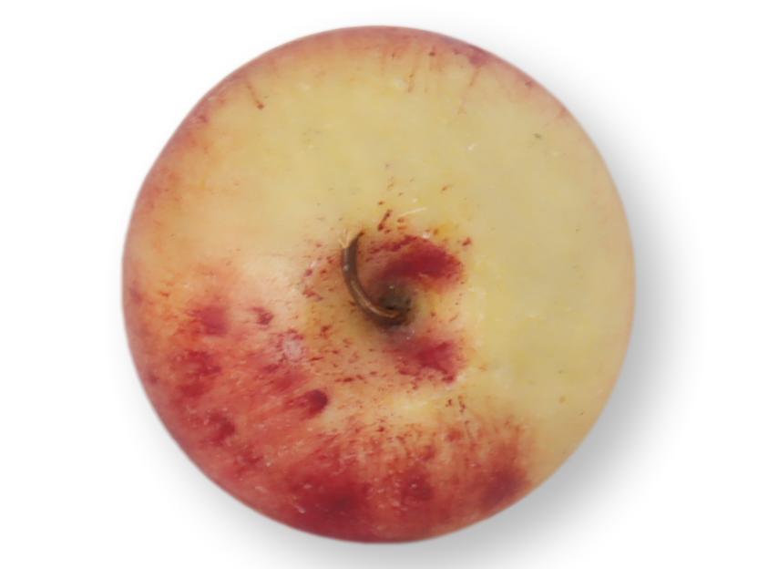 Italian Alabaster / Stone Fruit Apple