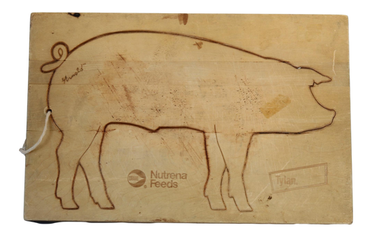 Vintage American Advertising Cutting Board, Arnold the Pig