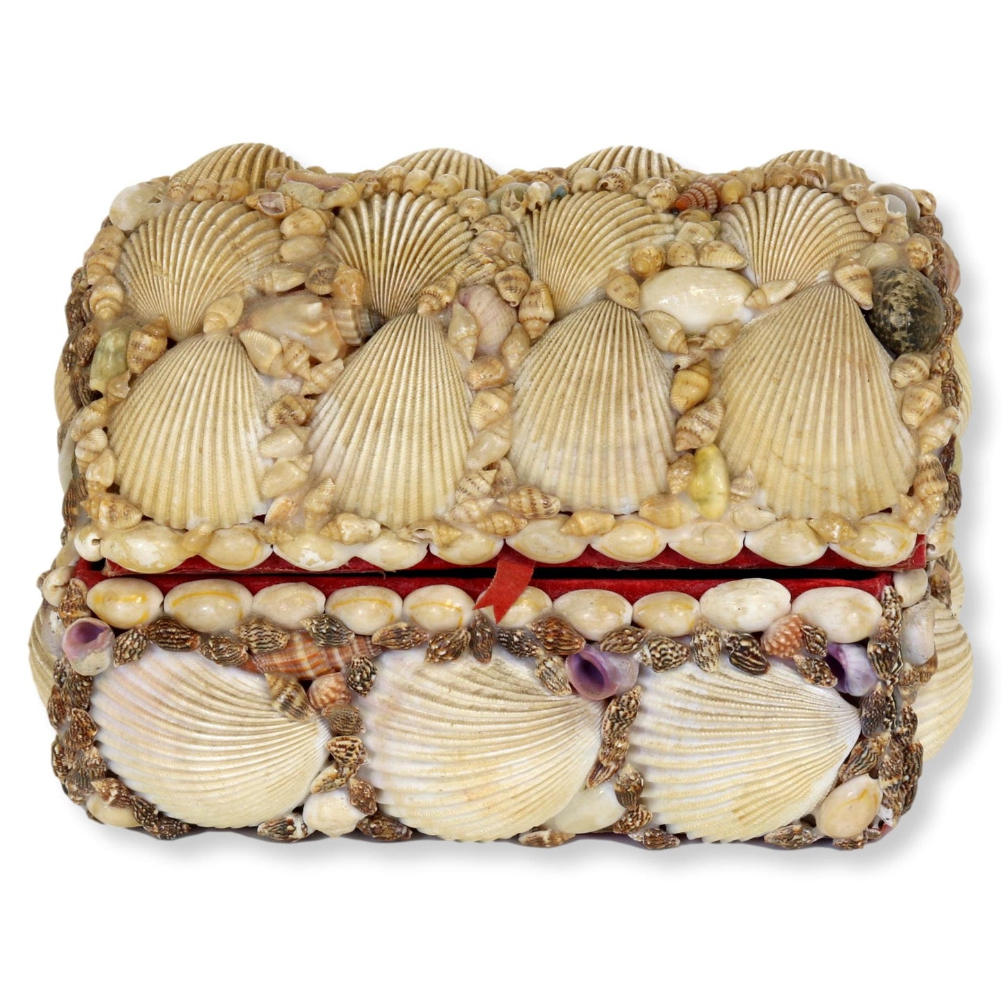 Vintage French Souvenir Seashell Box