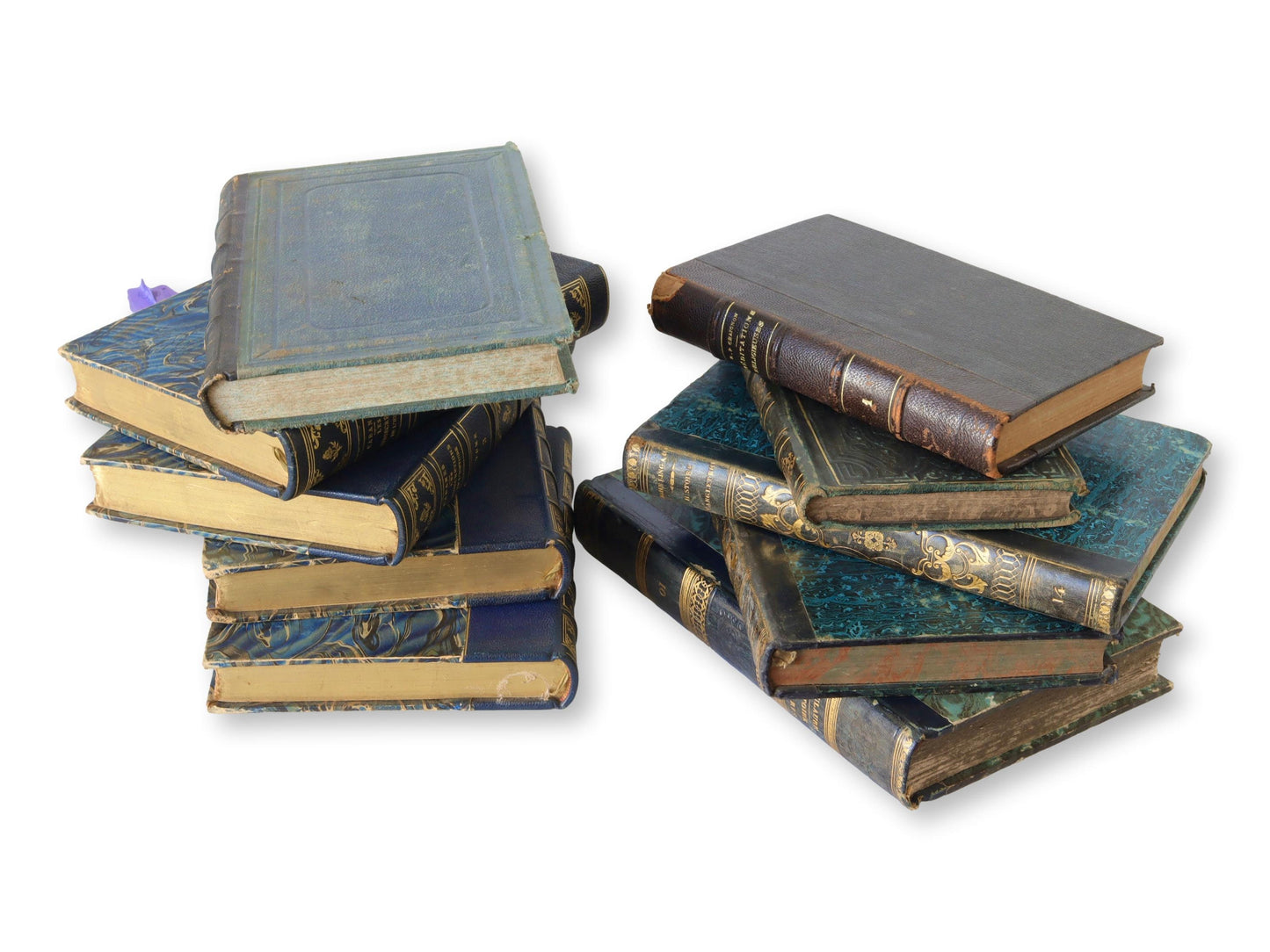 Antique French Leather-Bound Books, S/10